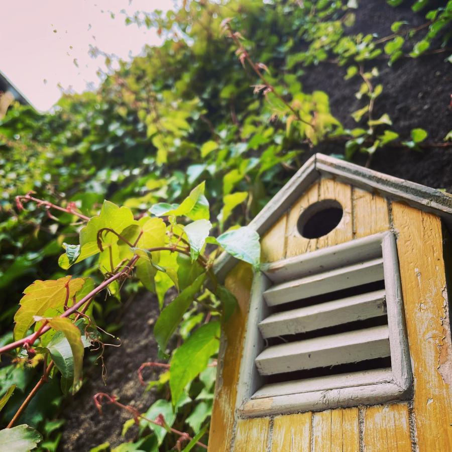 La Maison Aux Murs Anciens Et Ses Chambres タルブ エクステリア 写真